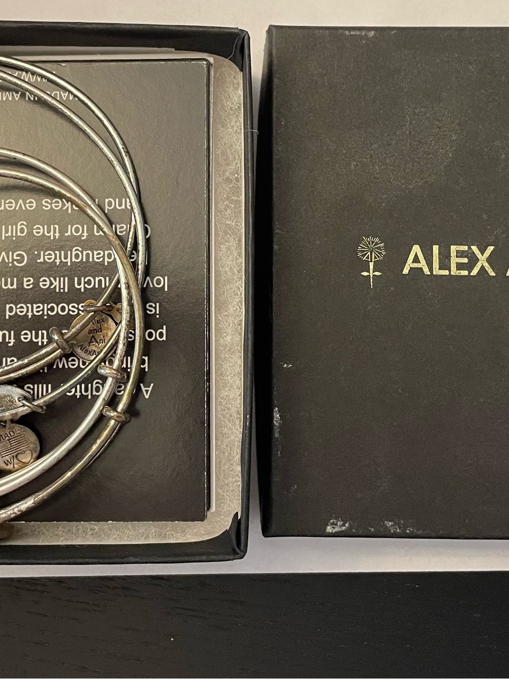 Alex and Ani Silver Tone Bangle Bracelet Set with Box